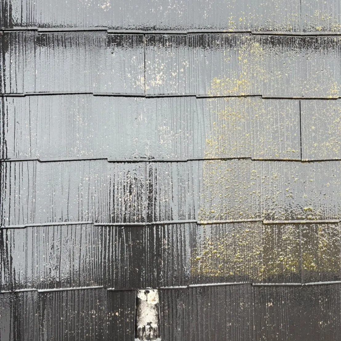 ー松戸市N様邸高圧洗浄（屋根・外壁塗装工事）－