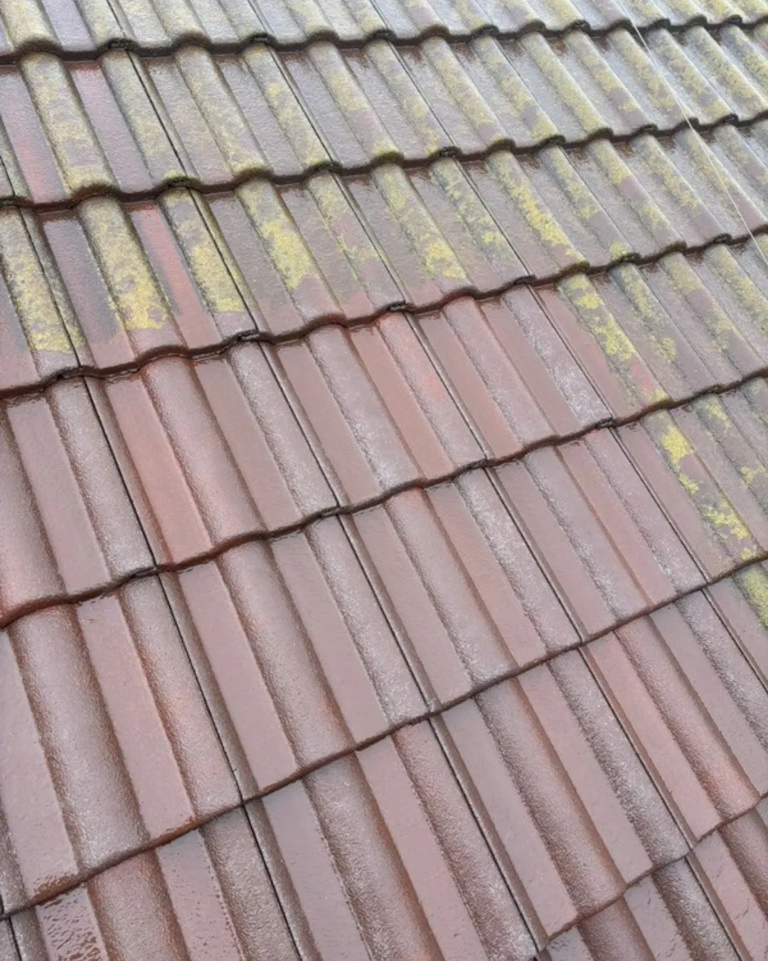 ー松戸市K様邸高圧洗浄(屋根・外壁塗装工事)-