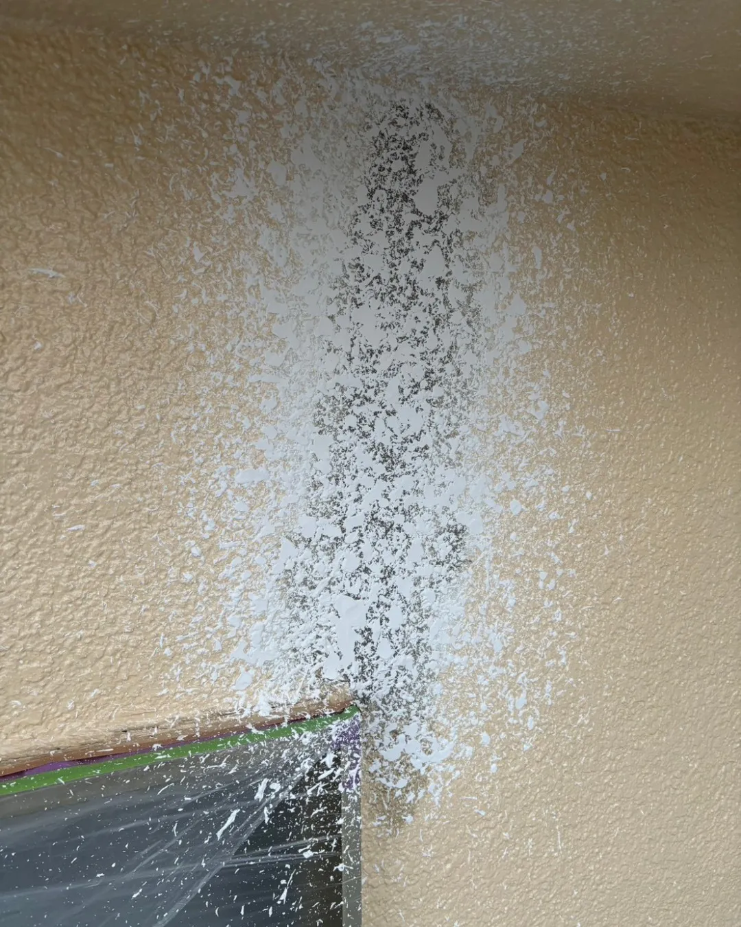 ー松戸市M様邸屋根上塗り他（屋根・外壁塗装工事）－